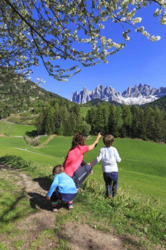 Teiser Stern Hotel Funes (Bolzano)
